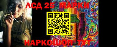 эйфоретик Жуковский