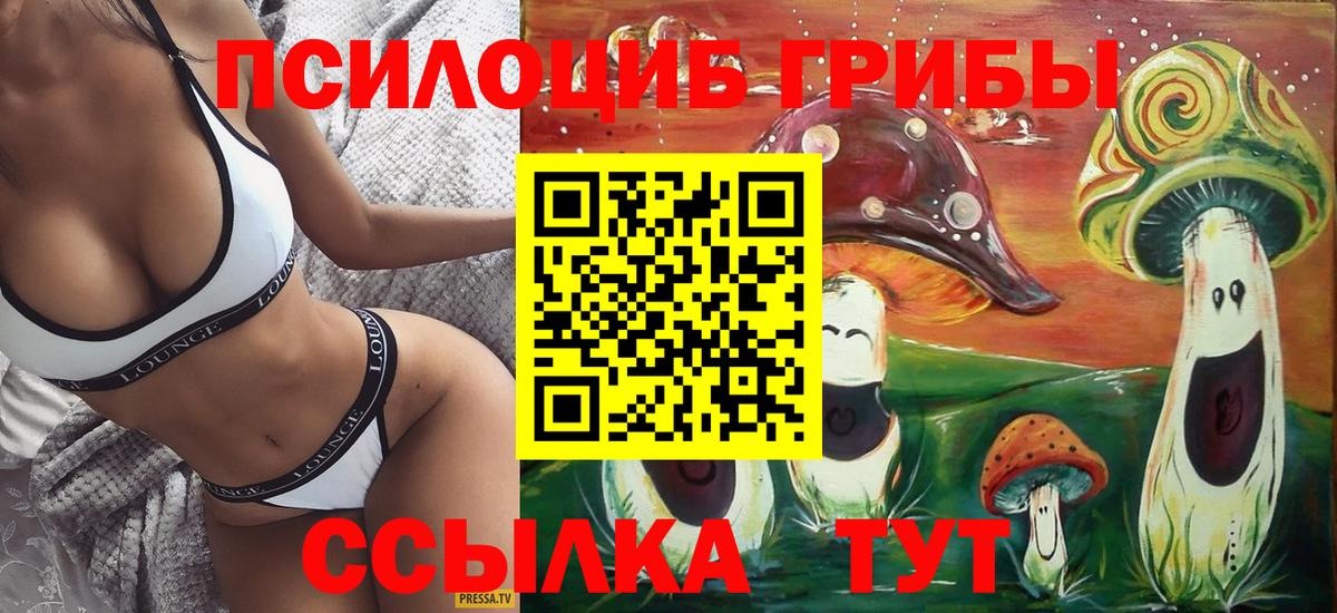 Галлюциногенные грибы GOLDEN TEACHER  Псилоцибиновые грибы прущие грибы  Южно-Сахалинск  Вход с VPN 