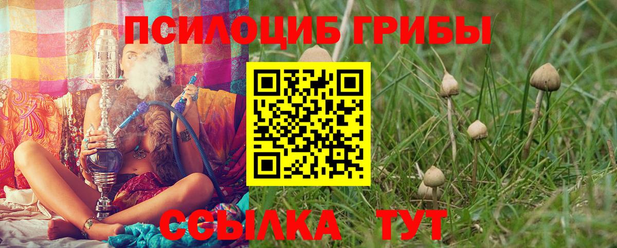 Галлюциногенные грибы Cubensis Южно-Сахалинск